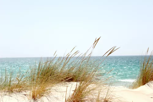 L'utilisation des gels ou des solutions hydro-alcooliques à la plage